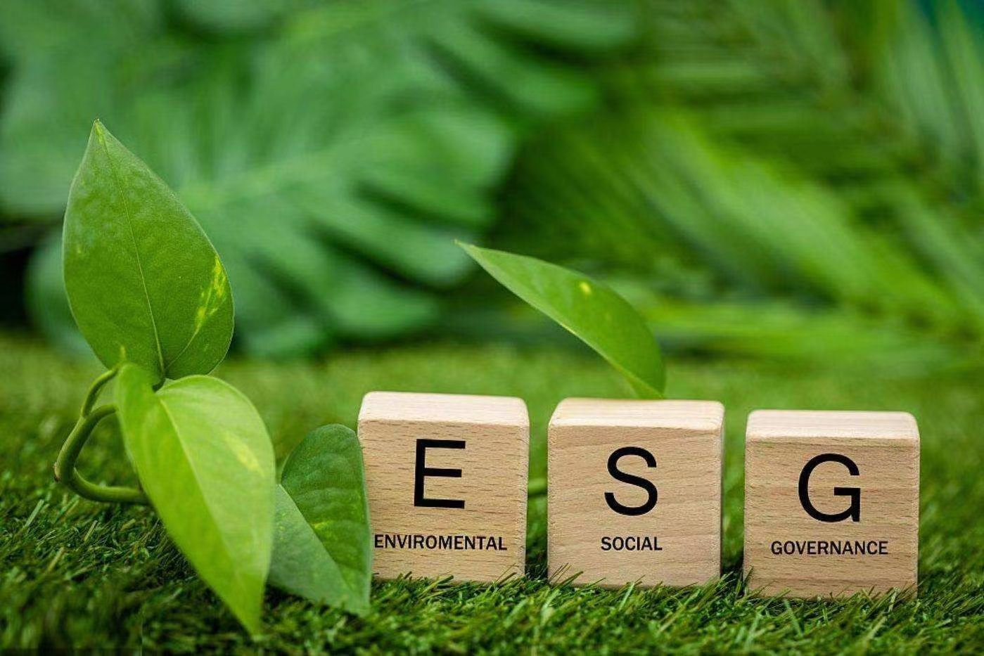 ESG環(huán)境信息披露